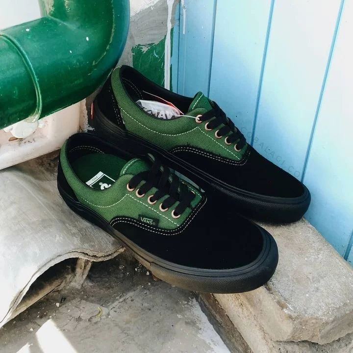 Vans  Era Pro BLACK ALPINE _0