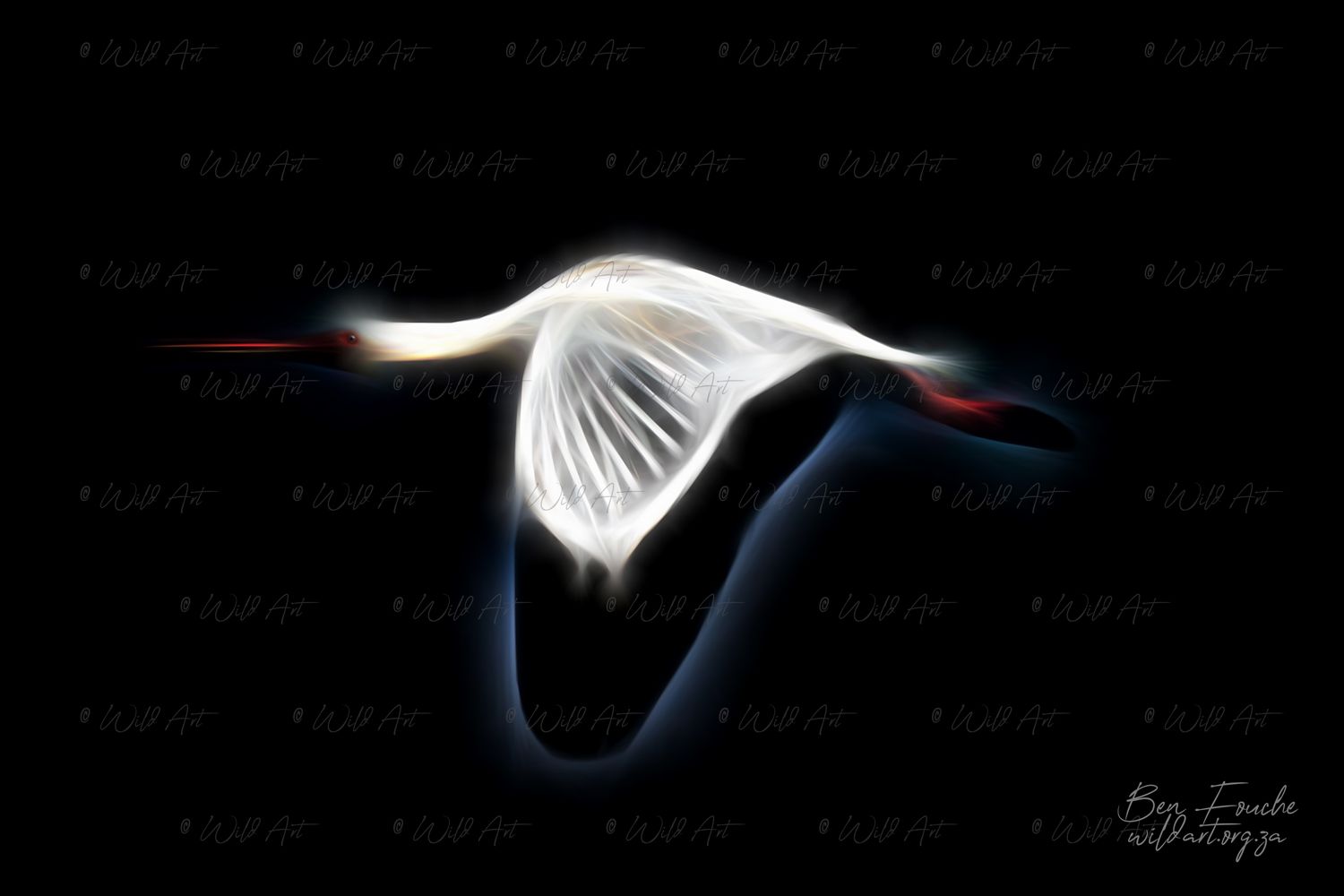 African Spoonbill (Limited Edition) Only one item_1