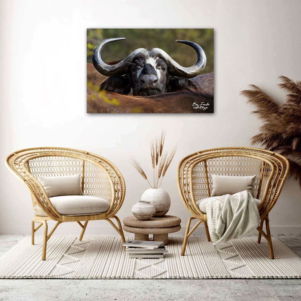 African Buffalo (Limited Edition) Only one item_0