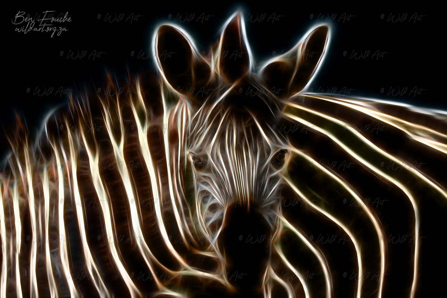 Zebra Twin (Limited Edition) Only one item_1