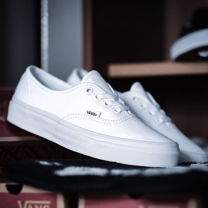 Vans  Authentic TRUE WHITE _1