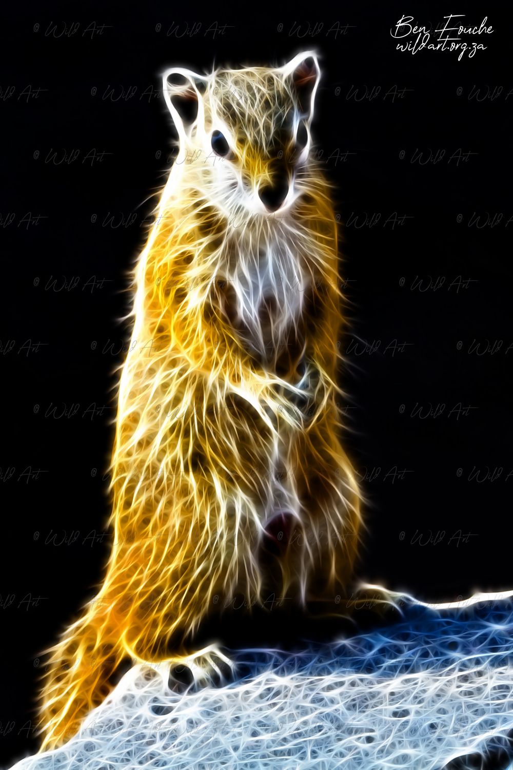 Tree Squirrel 2_1