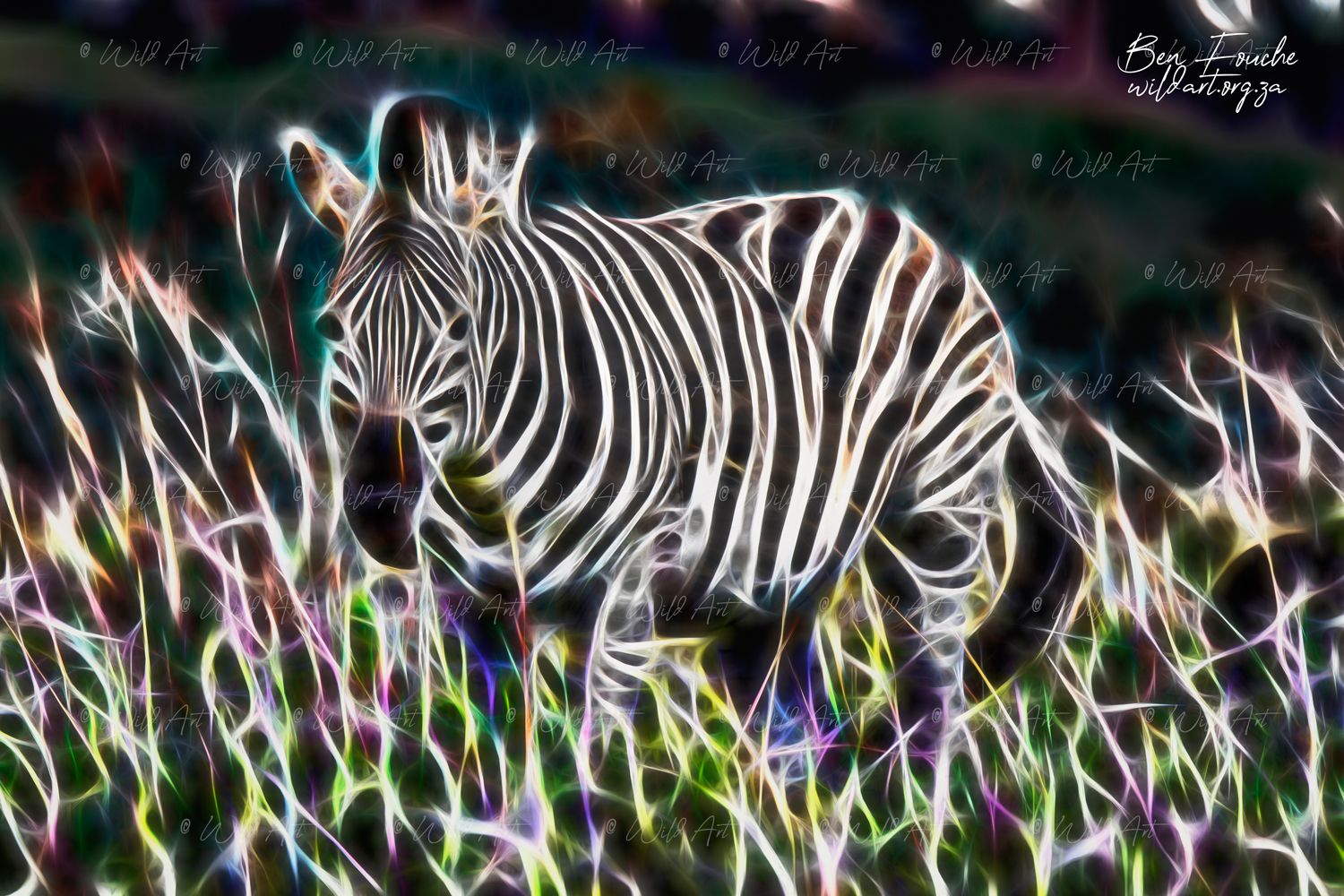 Zebra Alert_1