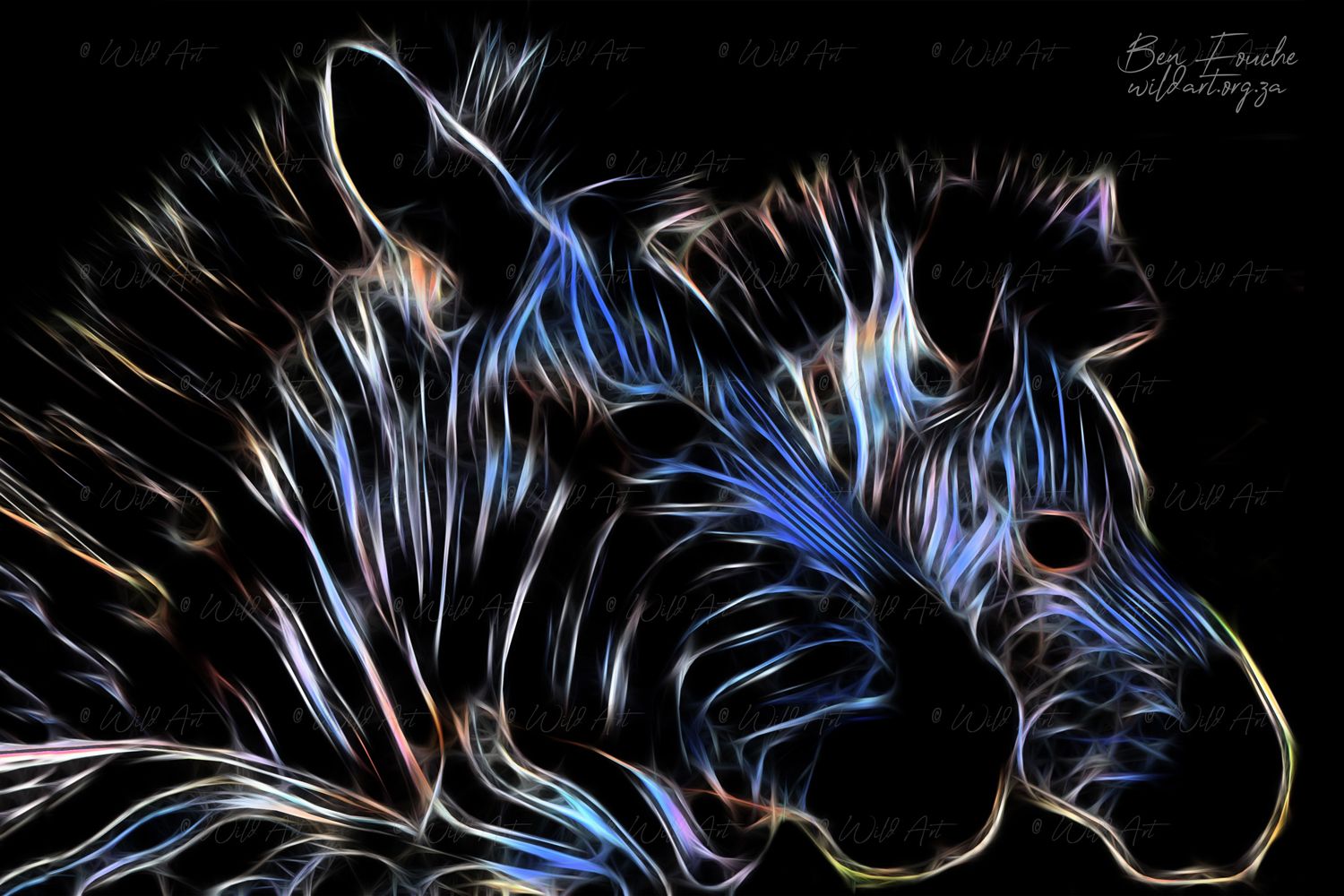 Zebras Blue_1