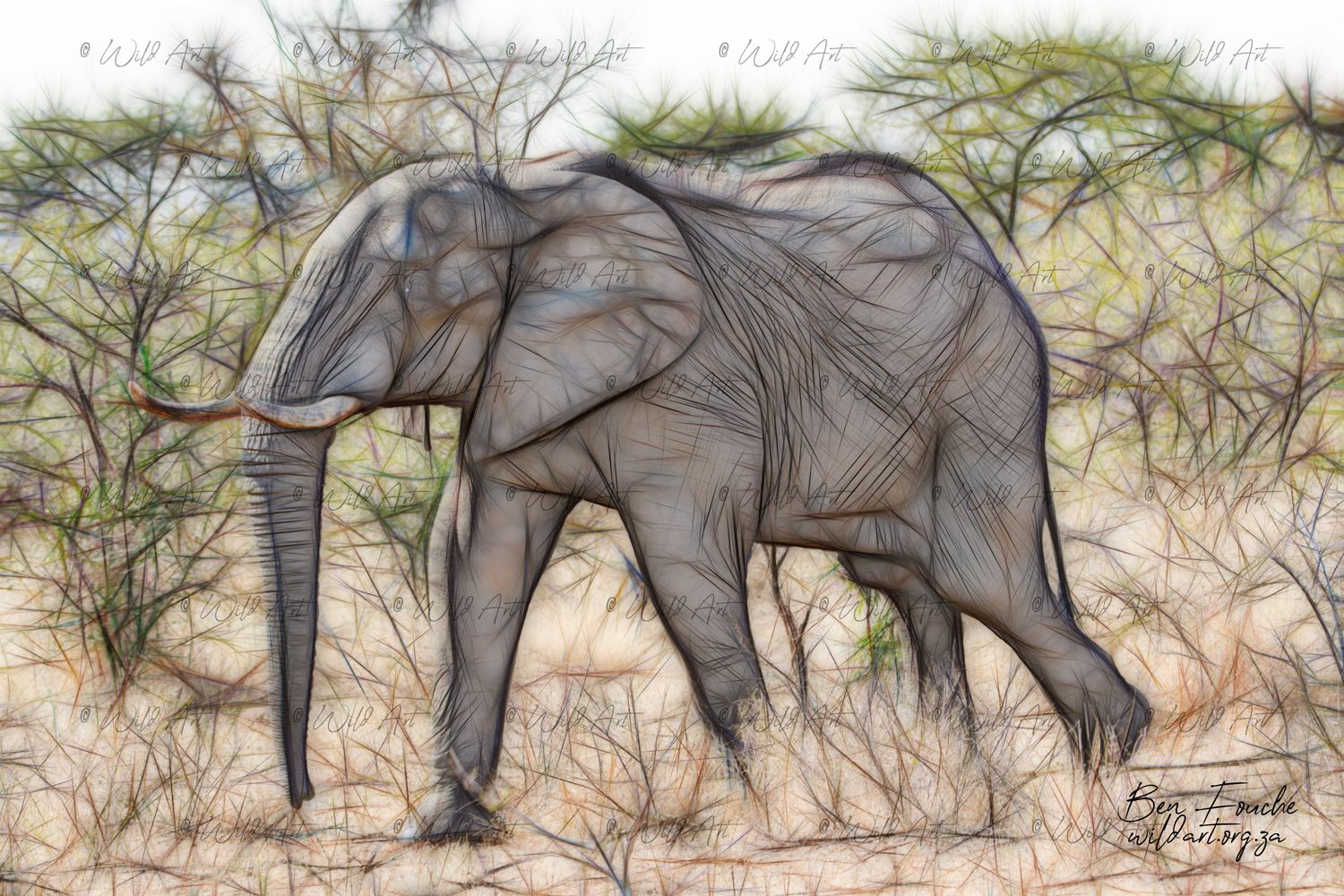 Elephant Walk_1