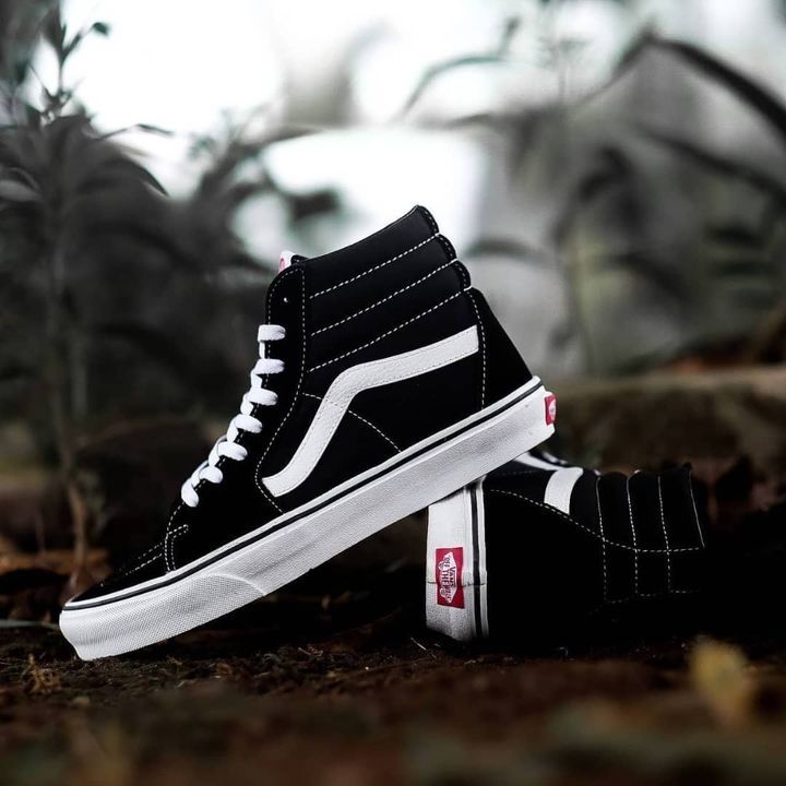 Vans Old Skool SK-8 Hi _1