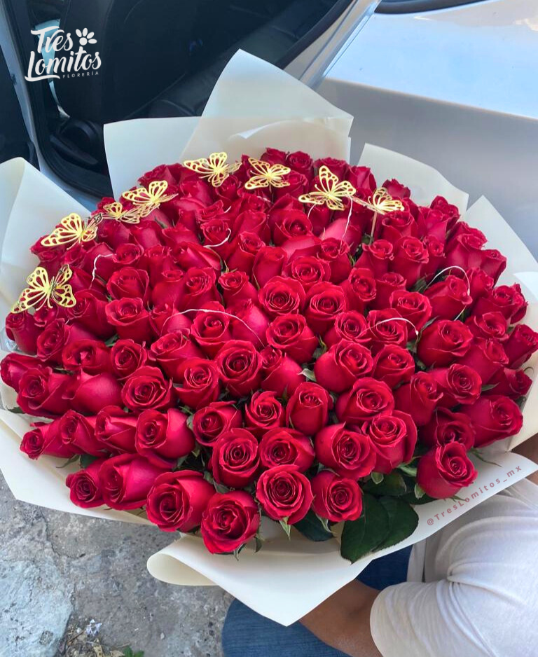 200 rosas_0