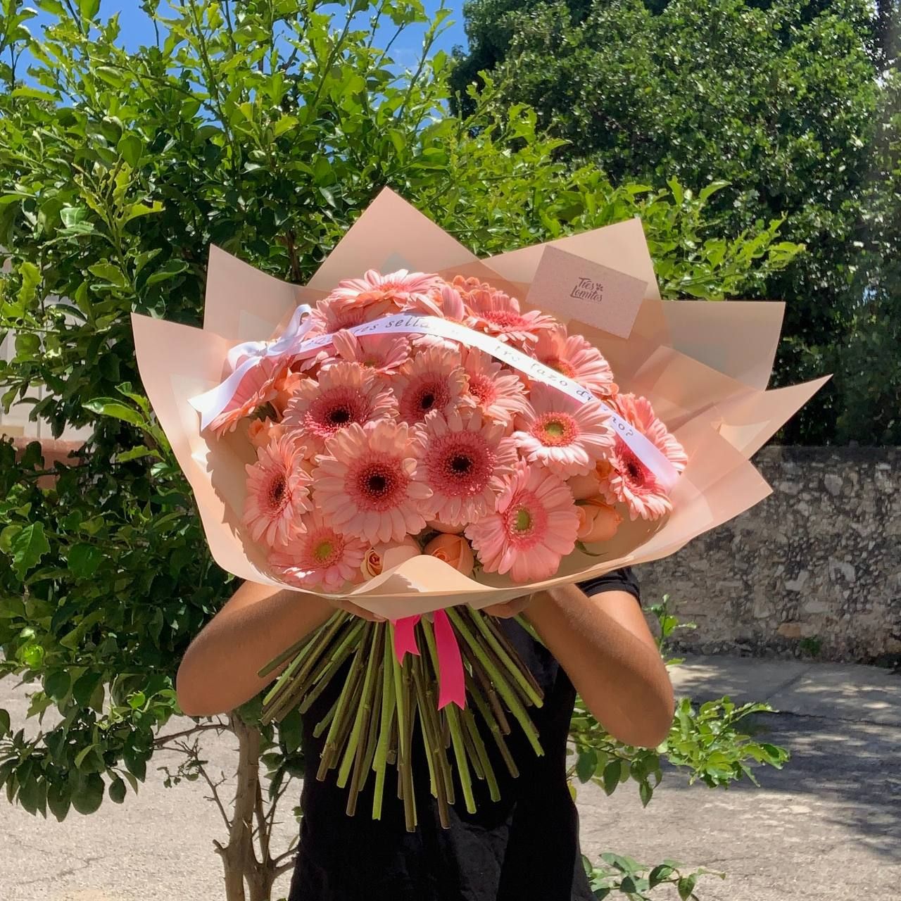 50 rosas con gerberas_0