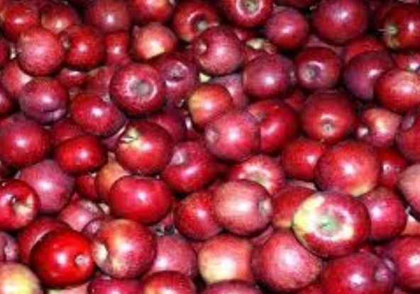 Pure Sweetening Ripe African Apples_0