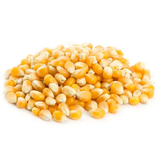 Popcorn Seed Kernels_0