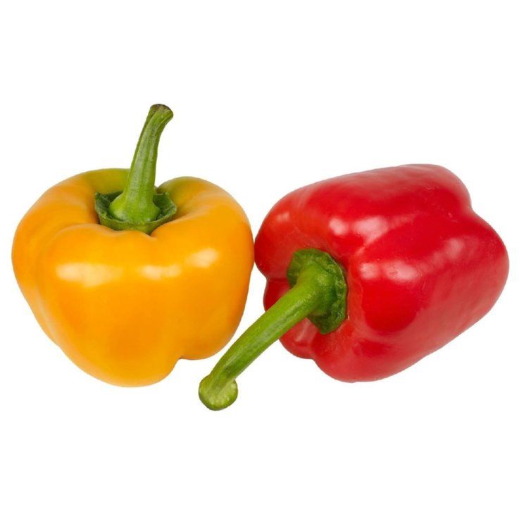 Coloured pepper_0