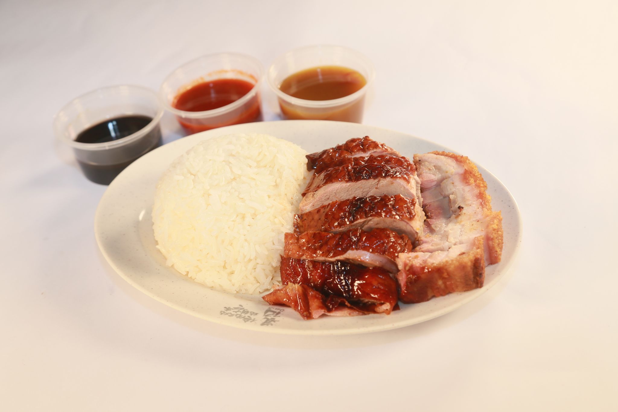 Duck and Roast Pork Rice_0