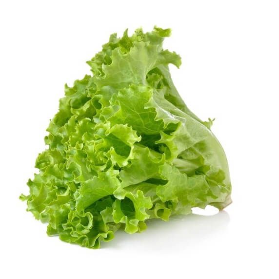 Soft Lettuce_0