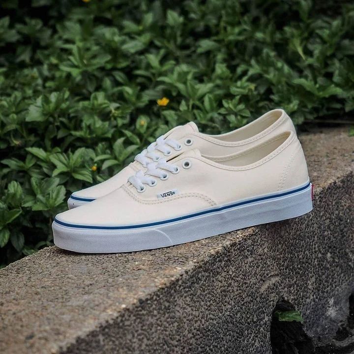 Vans Authentic "Foam"_0