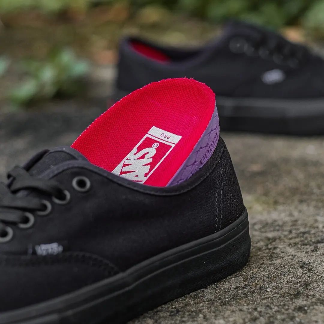 Vans Authentic Pro All Black_2