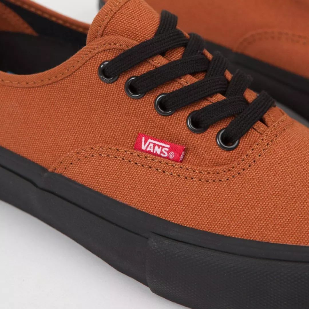 Vans Authentic "Dakato"_1