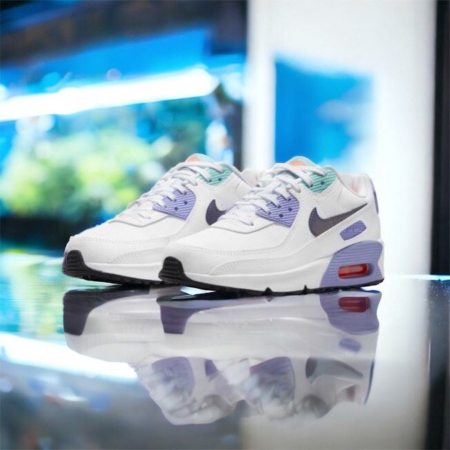 Nike Air Max 90 SE 2_2