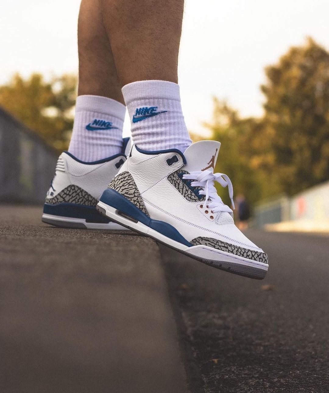 Air Jordan 3 Retro True Blue 2009_0