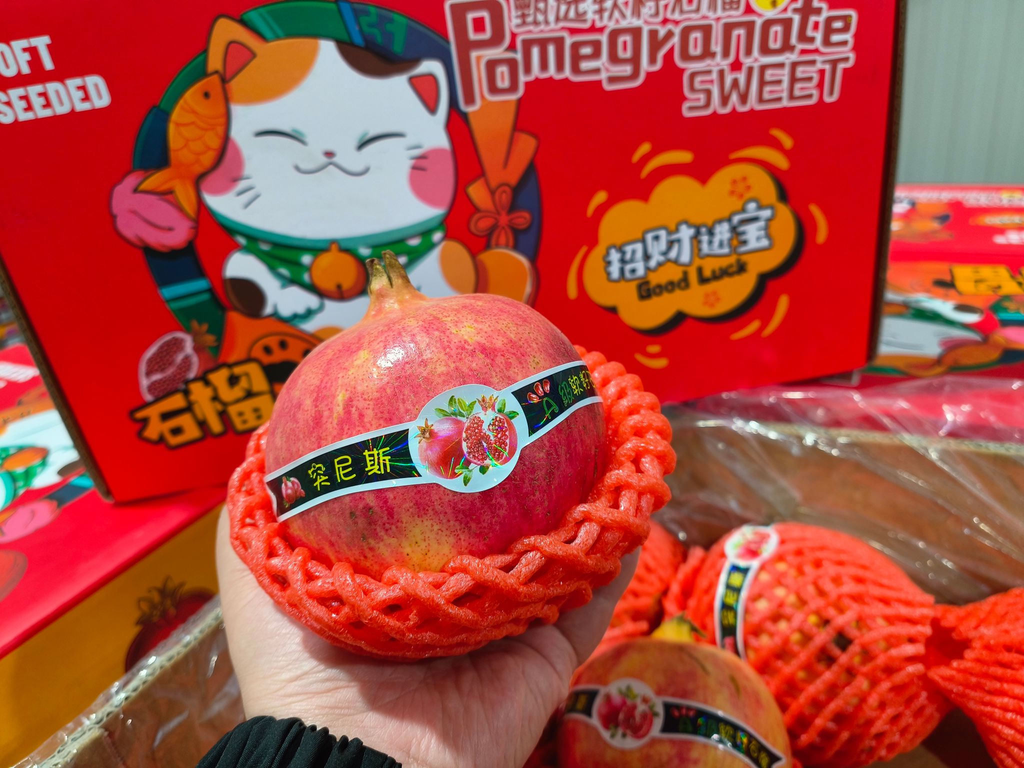 pomegranate 突尼斯软籽石榴_0