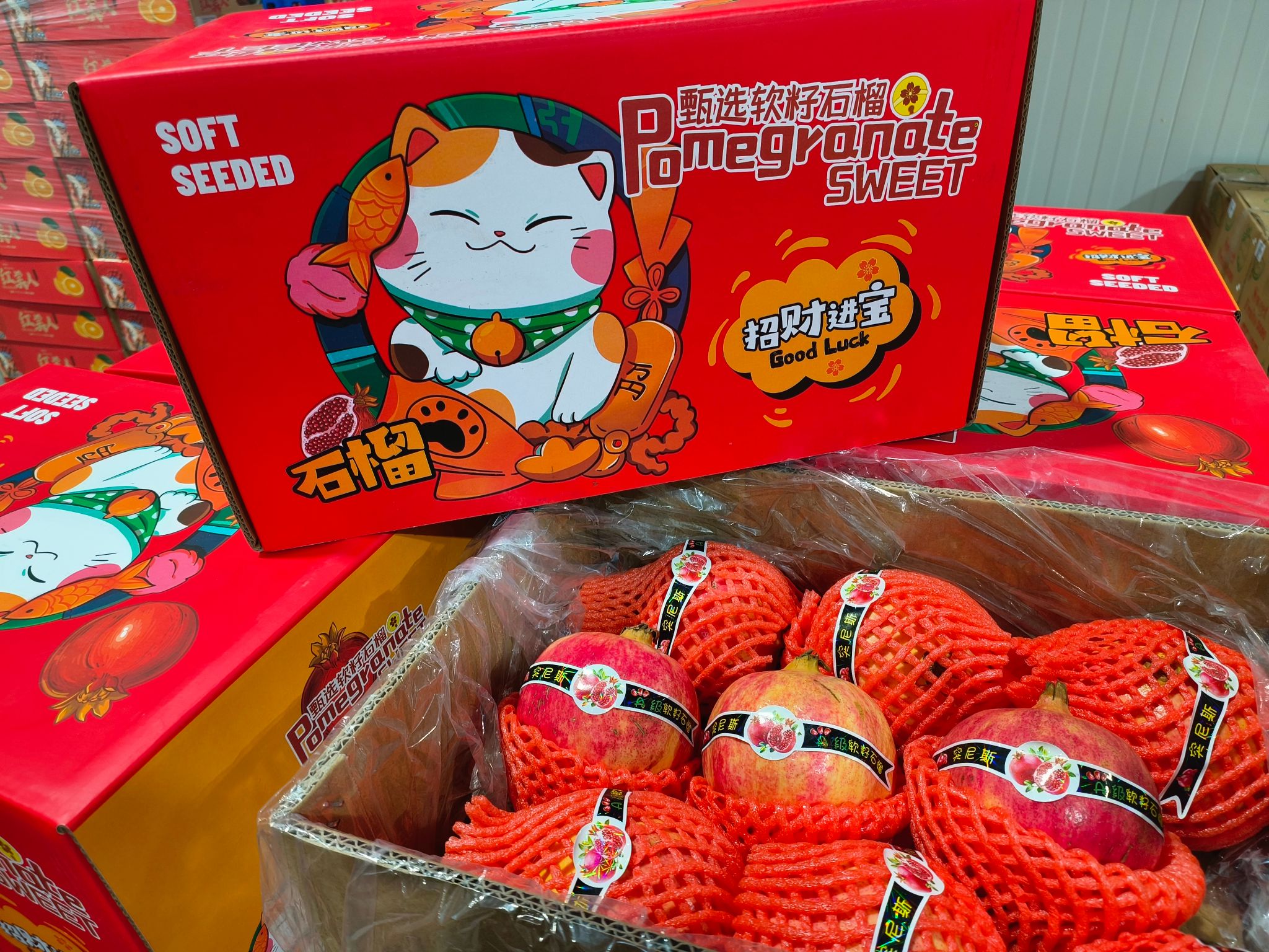 pomegranate 突尼斯软籽石榴_1