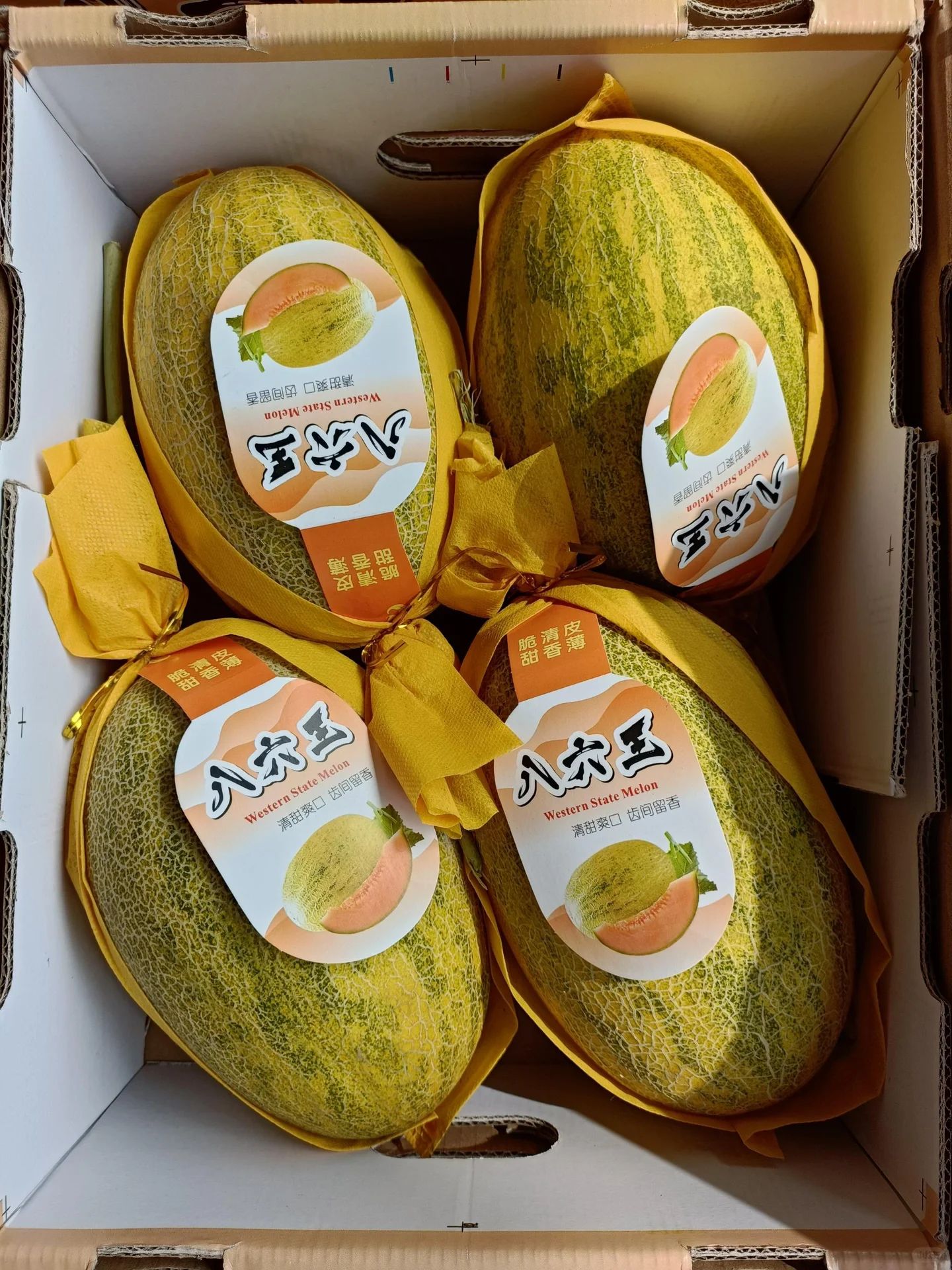 HAMI MELON 八六王哈密瓜_0