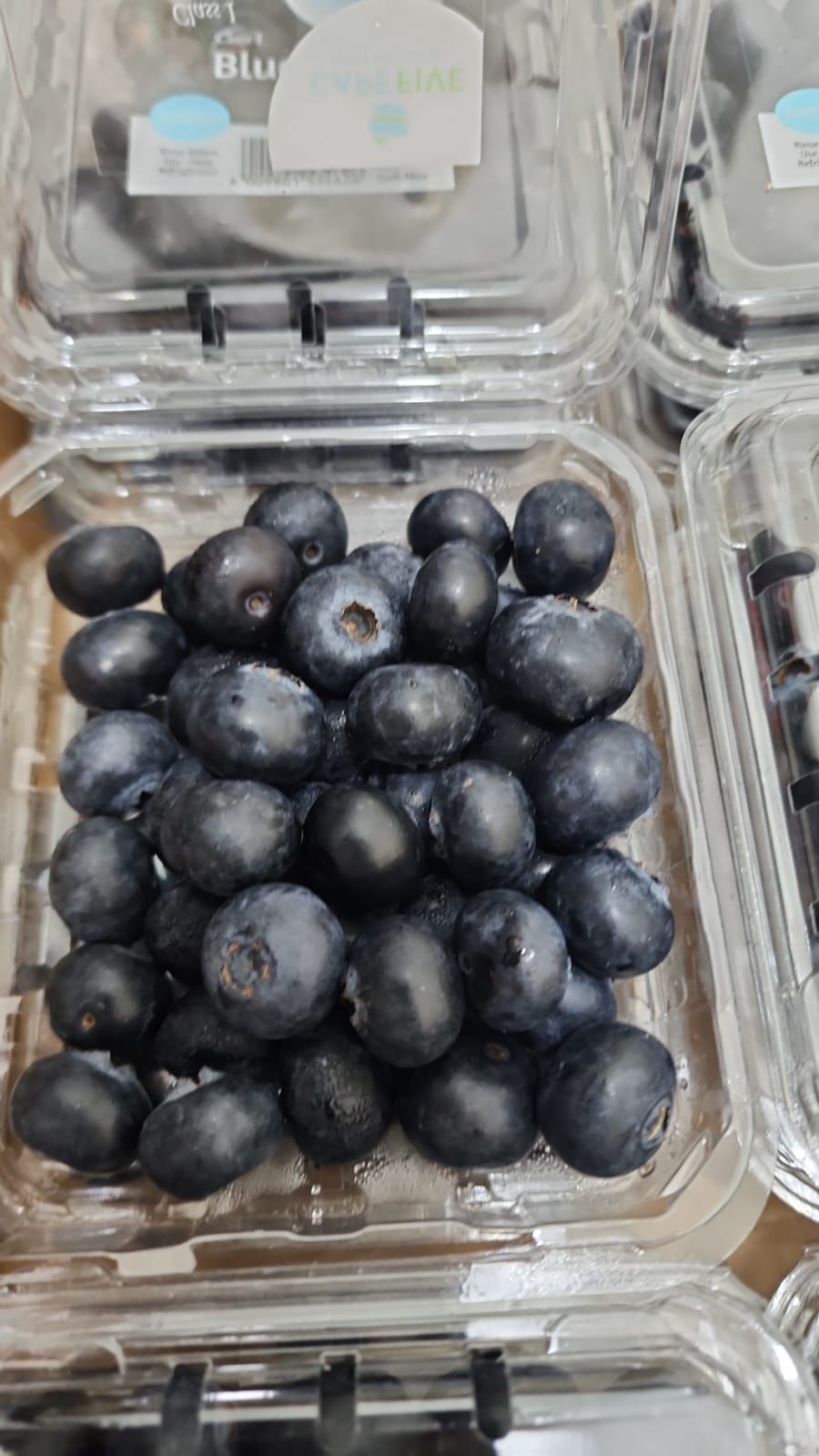 South Africa Core Jumbo Blueberries (125g)_1