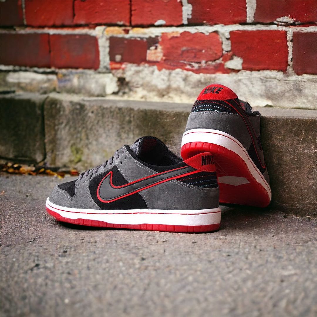 Nike Dunk Low Pro_2