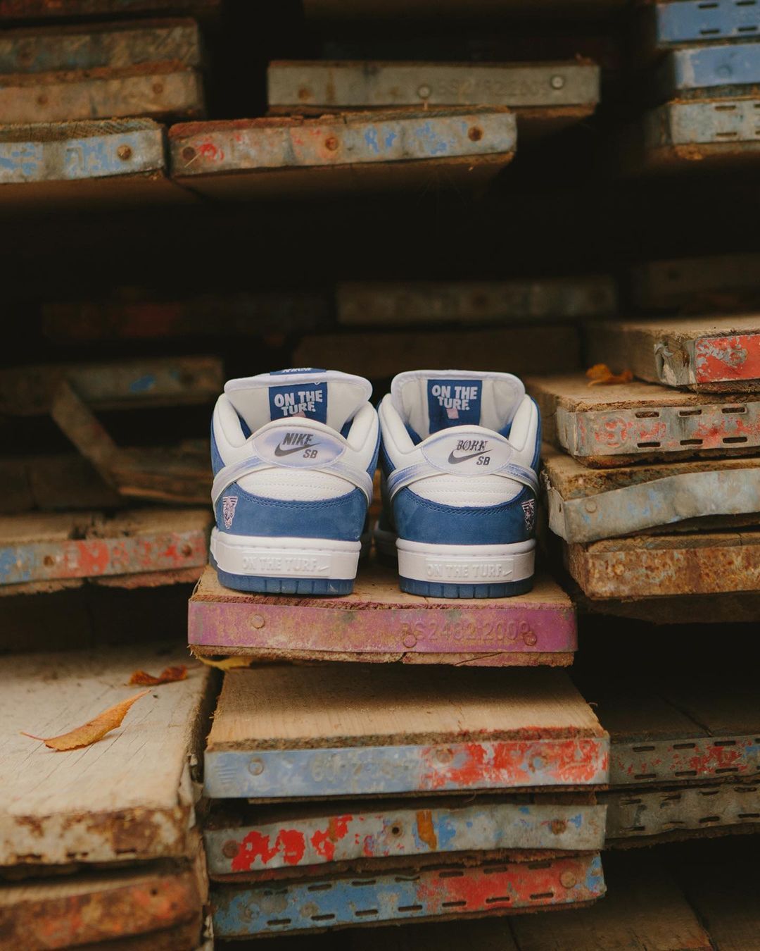 Nike SB x Born X Raised Dunk Low Pro_1