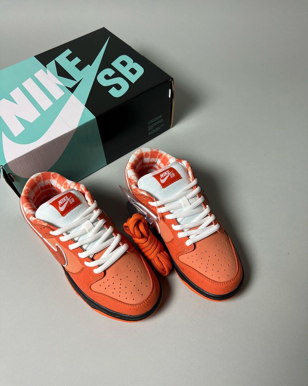 Dunk SB Low Lobster Orange _2