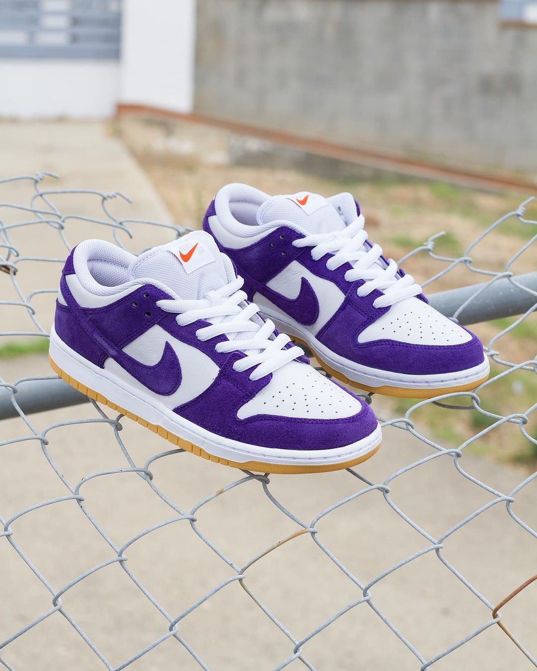 Nike Dunk Court Purple_0