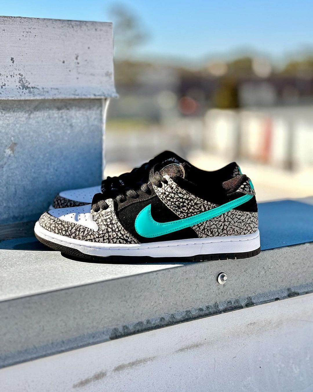 SB Dunk Low Atmos Elephant,_0