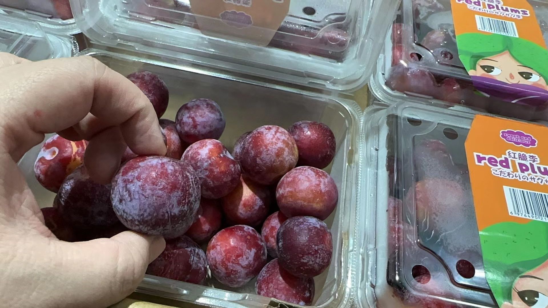 Red Plum 脆红李_2