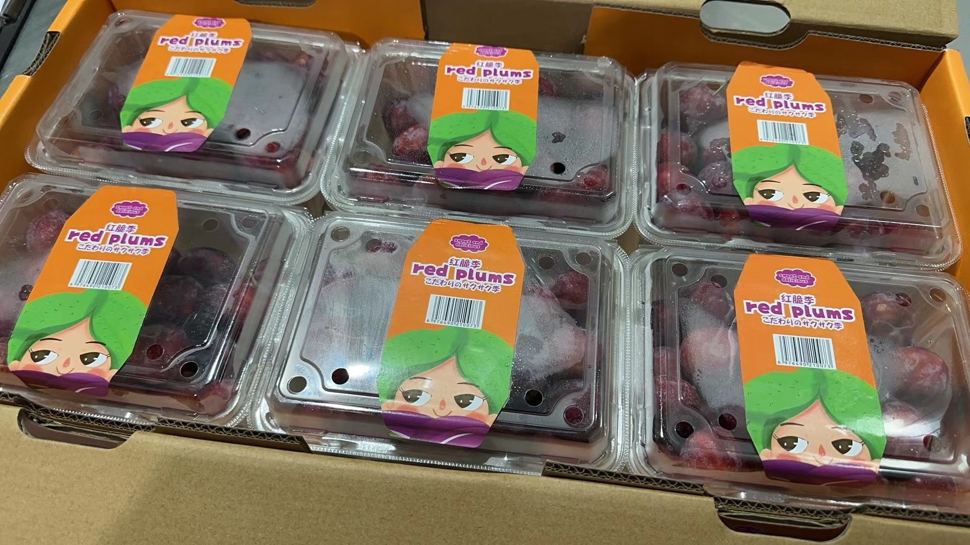 Red Plum 脆红李_0