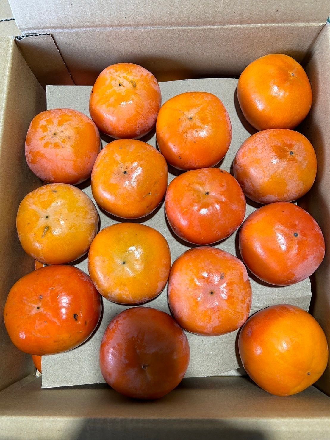 和歌山富有柿 7.5kg 青秀 2L 28玉 Wakayama Fuyu Persimmon 7.5kg 2L 28pcs_0