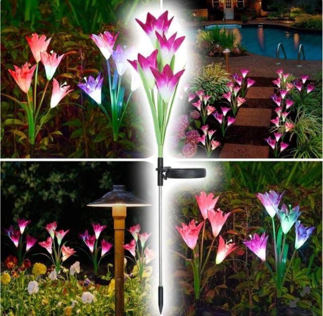 Outdoor Solar Garden Light_5