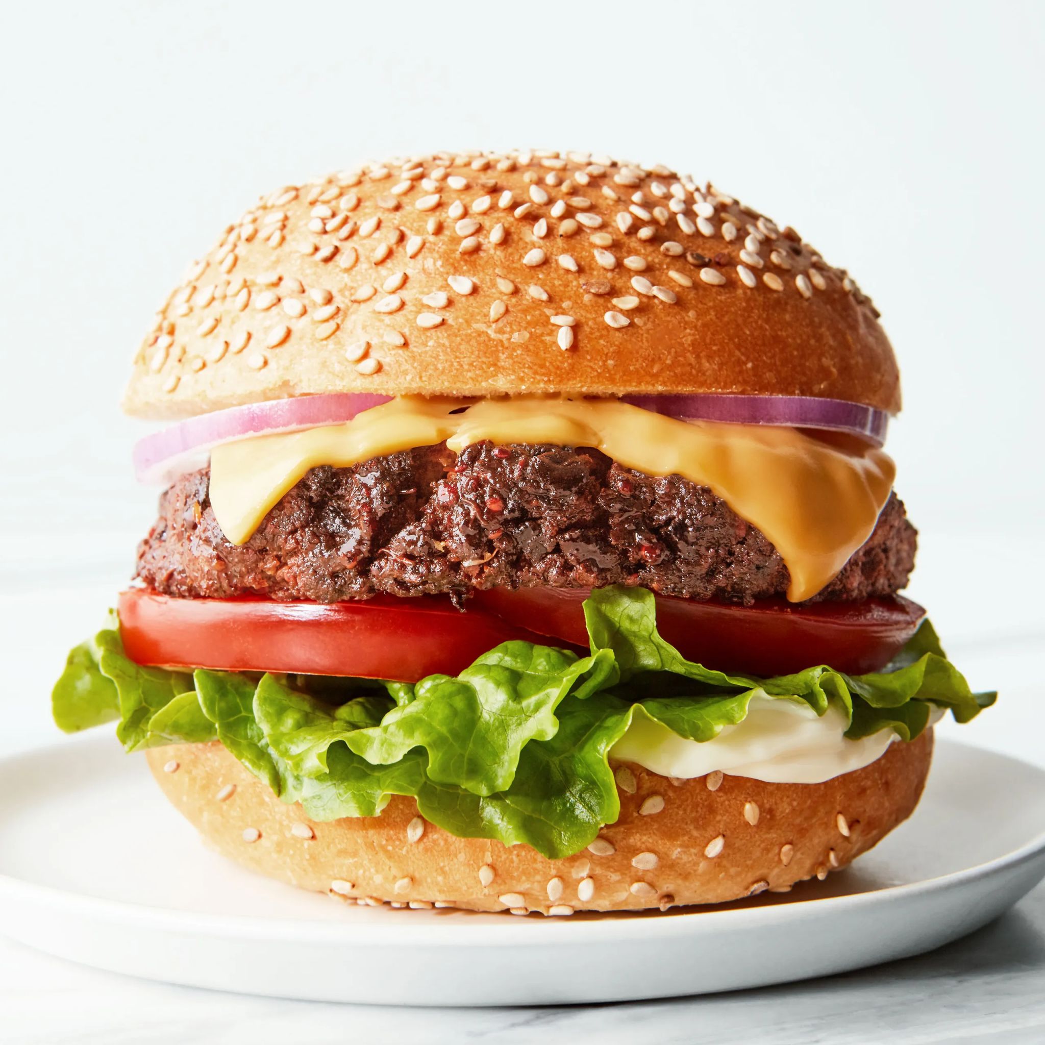 Hamburger_0