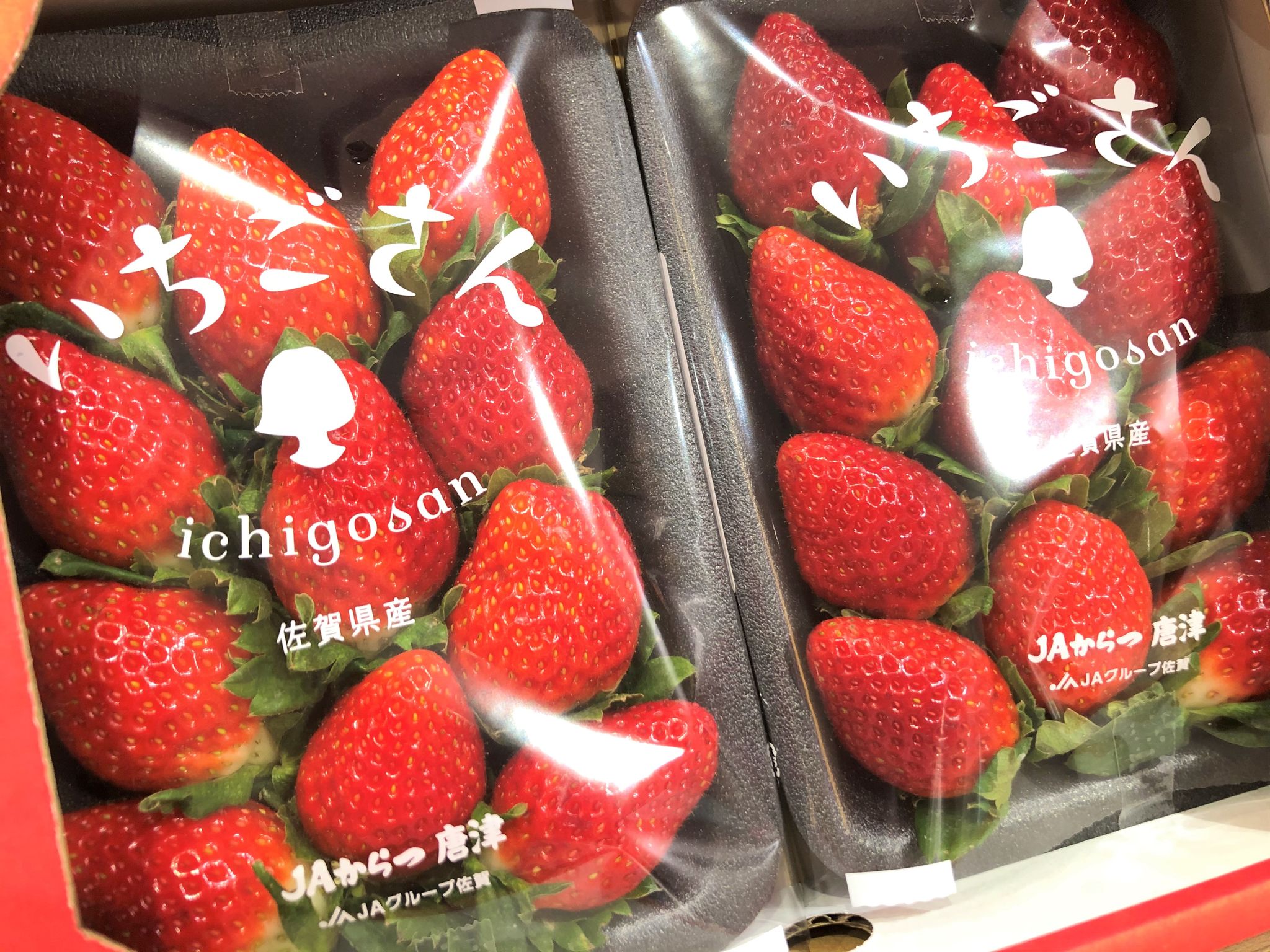 JPN SAGA ICHIGO-SAN STRAWBERRY_1