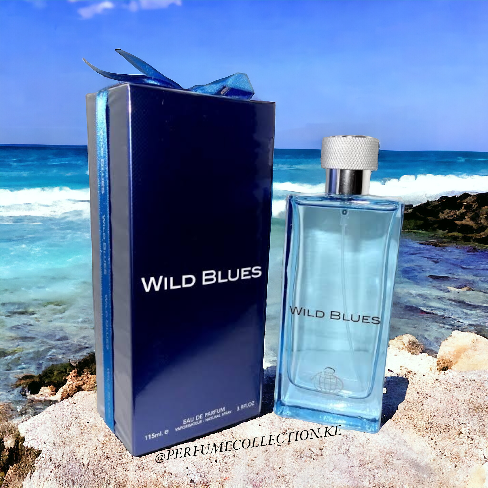 WILD BLUES_0