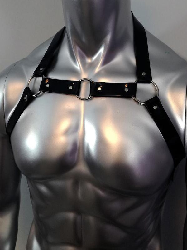 I'm Leather Harness 02_1