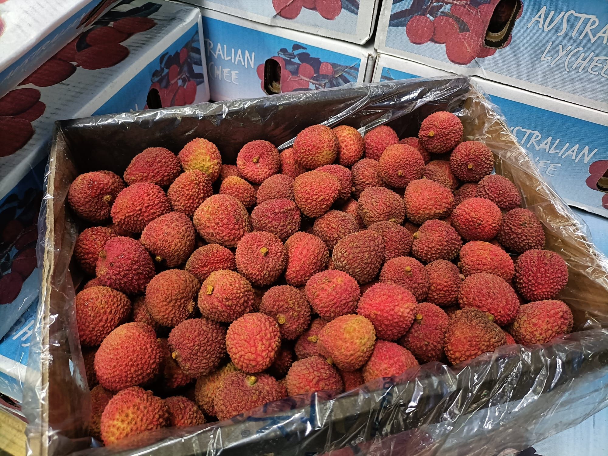 AUS Fay Zee Sui Lychees (500g)_1