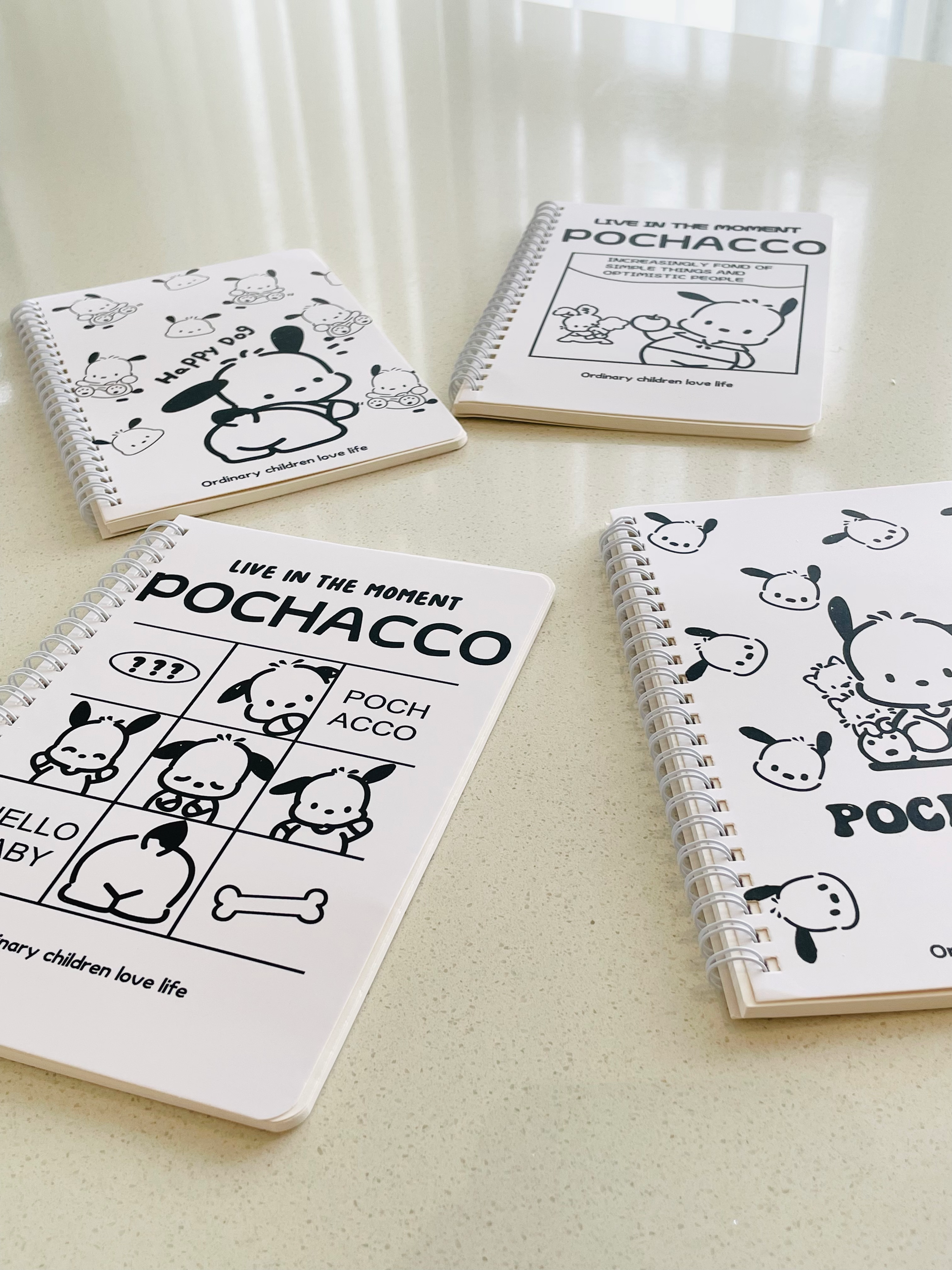 Pochaco Notebooks_0