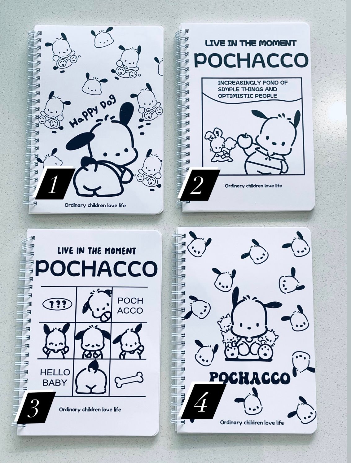 Pochaco Notebooks_1