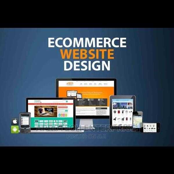 Professional Ecommerce Website Design For Online Shopping _1