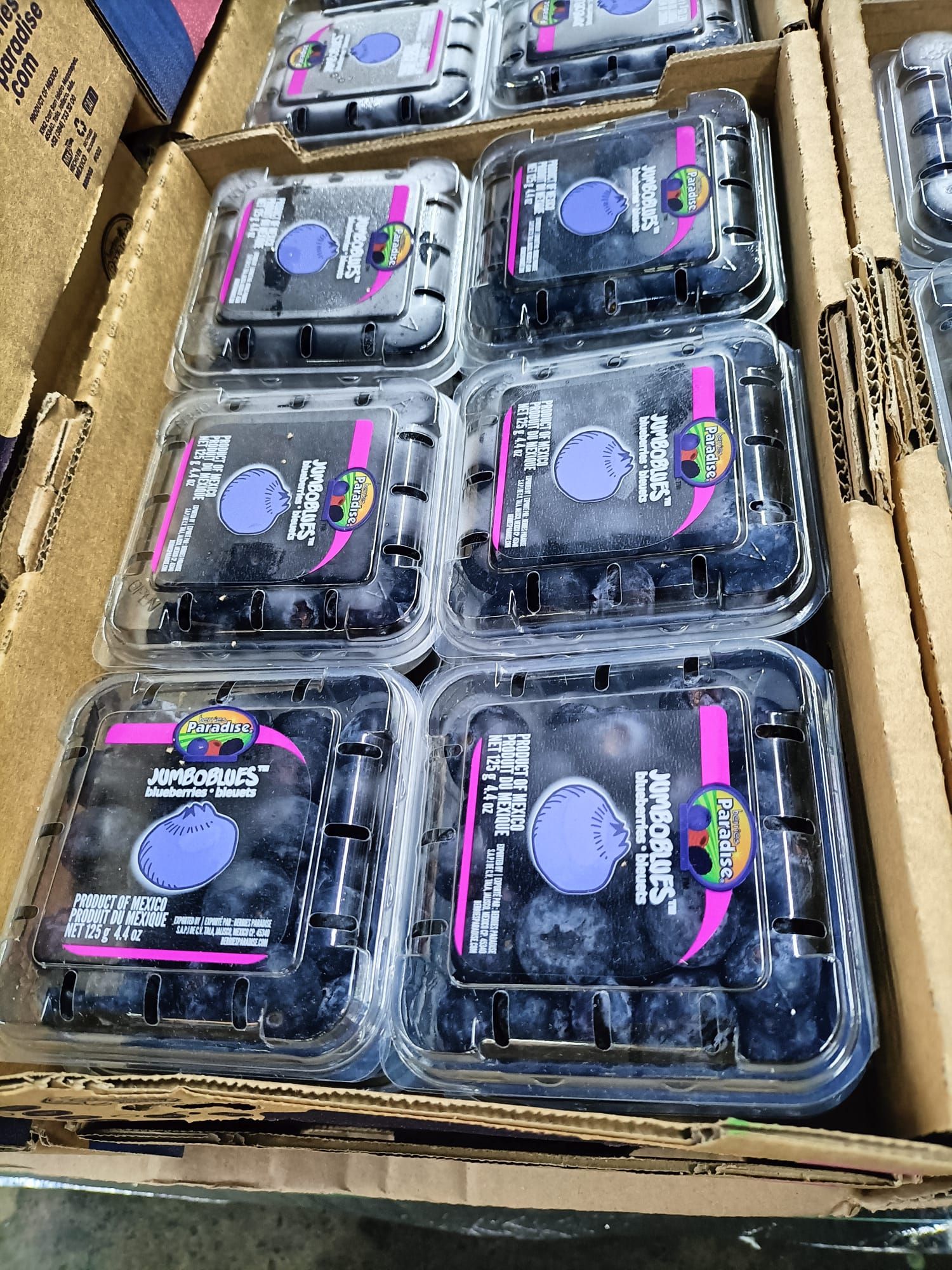 MEXICO Jumbo Blueberries 125g_3