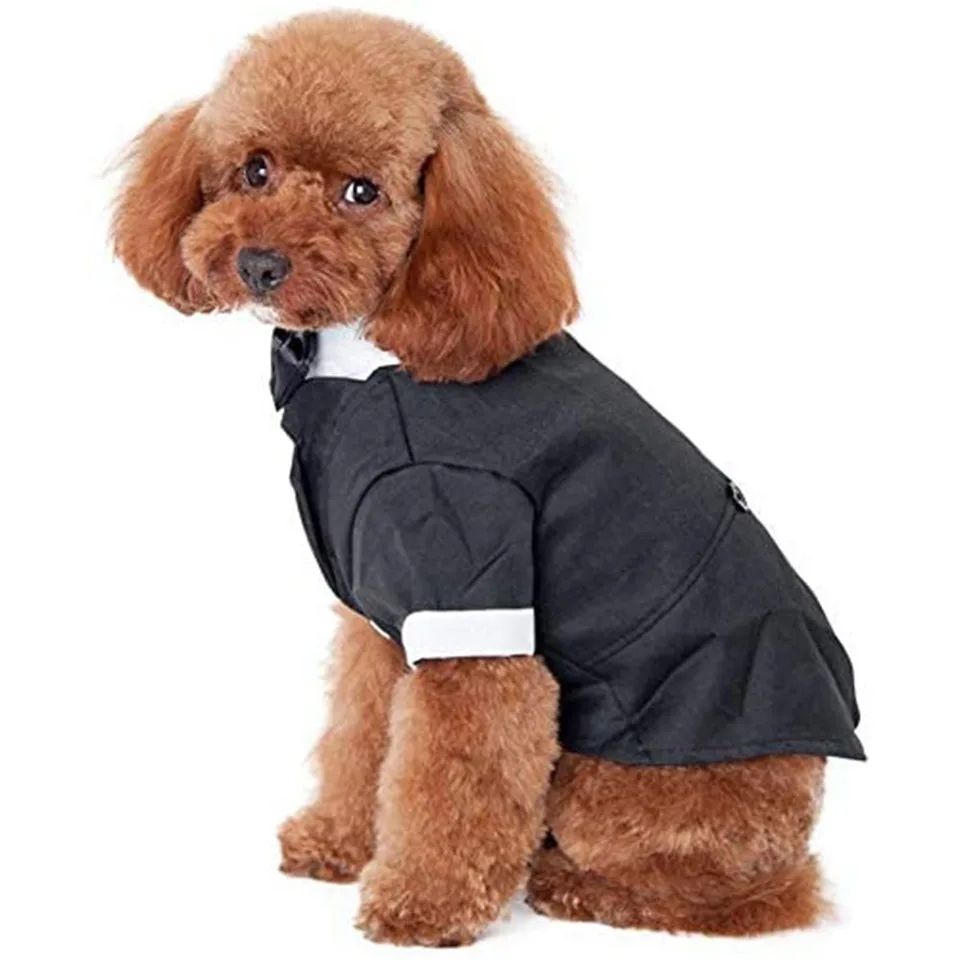 Dog Tuxedo Costume_1