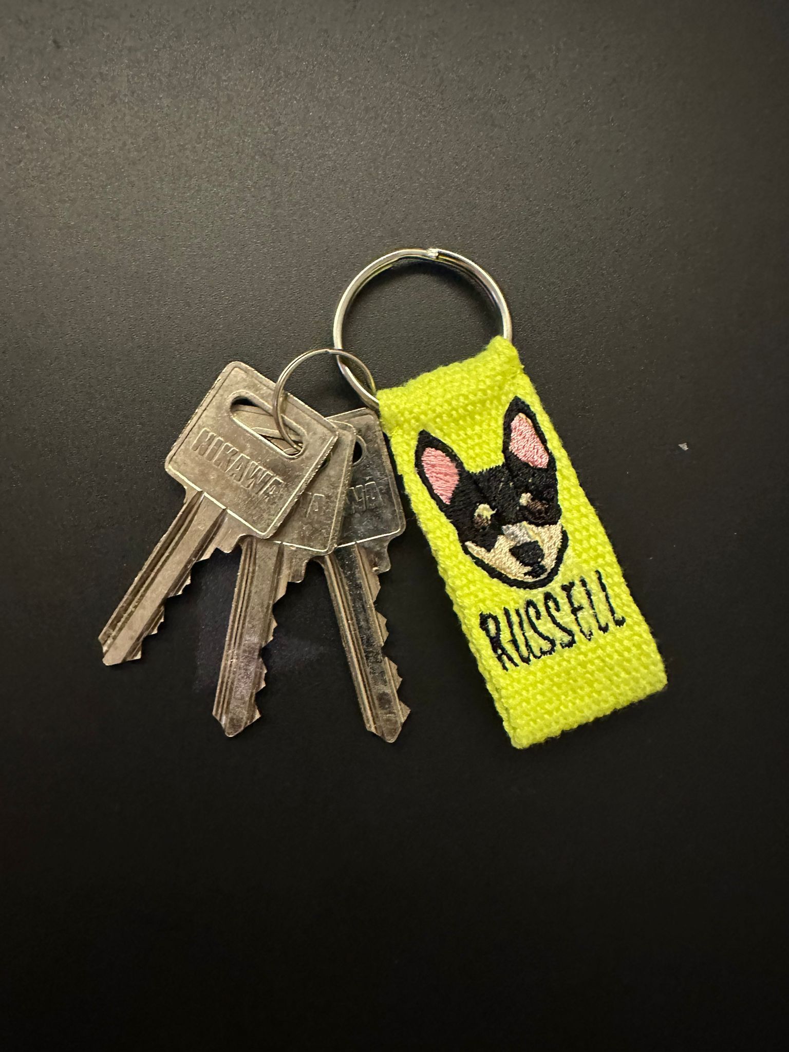 Custom Pet Key Accessories_3