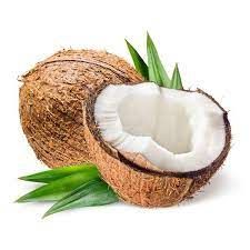 Coconut Bulk_0