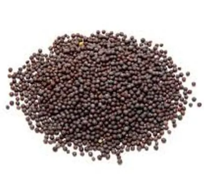 SIVA'S MUSTARD SEEDS_0