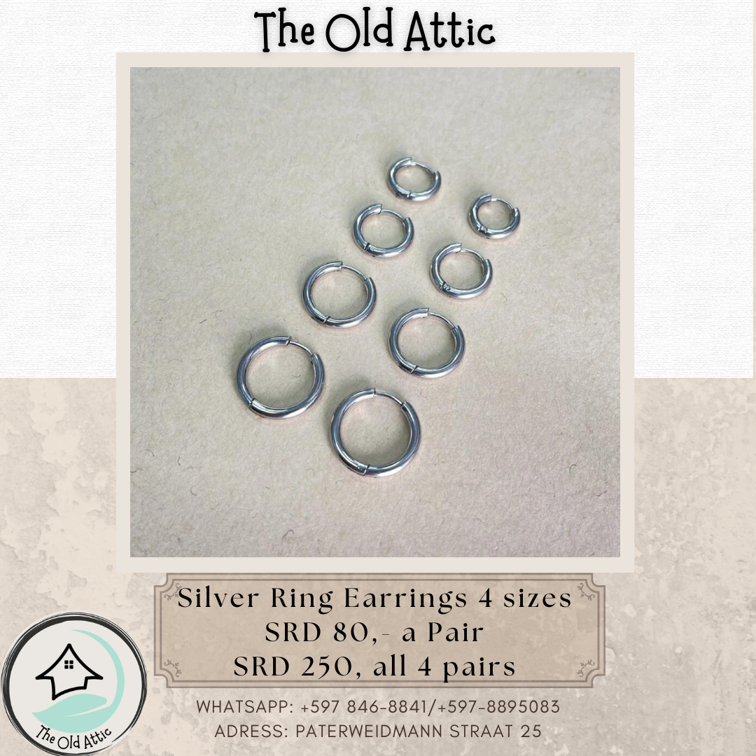 Silver Ring Earrings 4 Sizes _0