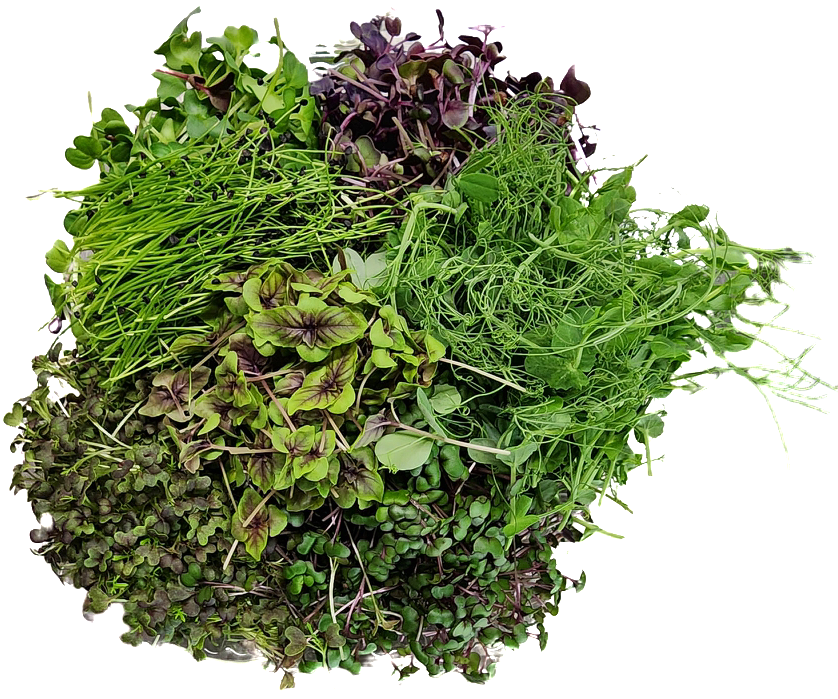 Garnish Mix (Microgreen Mix)_0